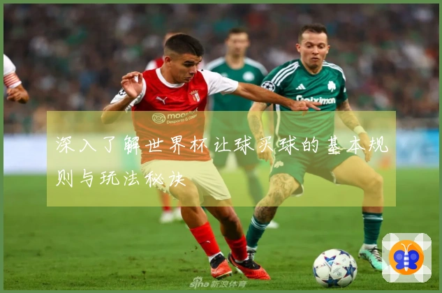 深入了解世界杯让球买球的基本规则与玩法秘诀