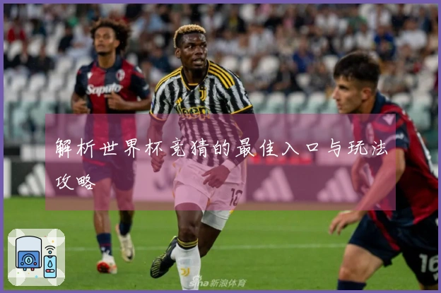 解析世界杯竞猜的最佳入口与玩法攻略